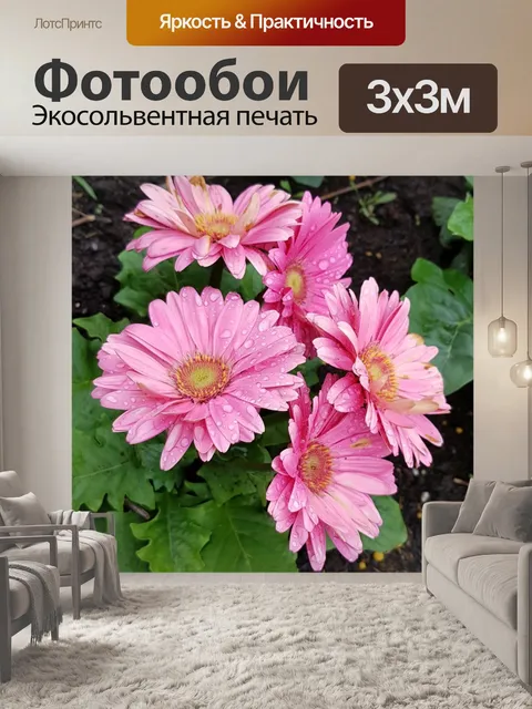 Фотообои Розовая маргаритка 2