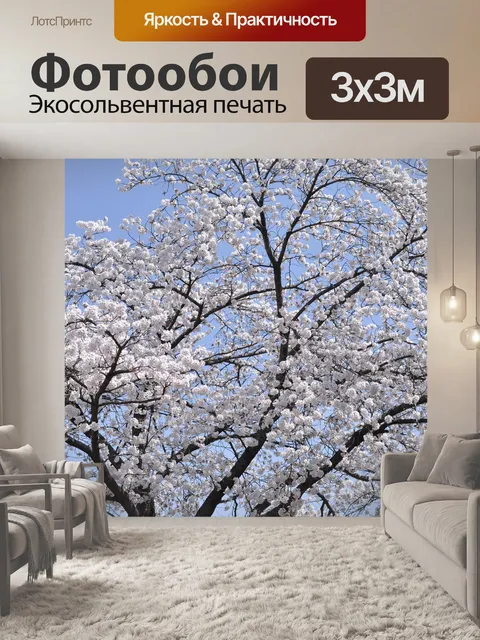 Фотообои Вишня в цвету