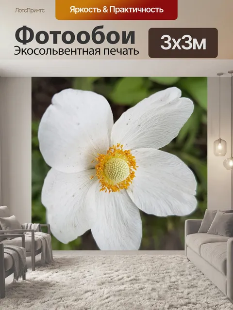 Фотообои Цветы