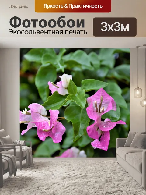 Фотообои Цветы
