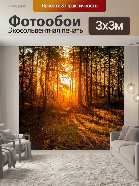 Фотообои лес с вечерним закатом, золотыми и оранжевыми тонами, тенями деревьев