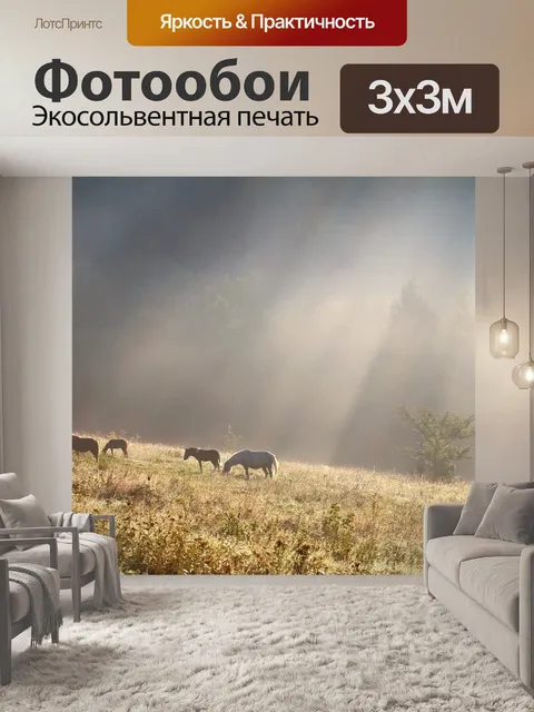 Фотообои Утро