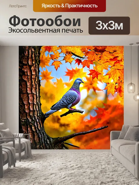 Фотообои голубь, сидящий на ветке старого дерева, окруженный многоцветными осенними листьями