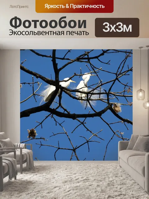 Фотообои Цапля