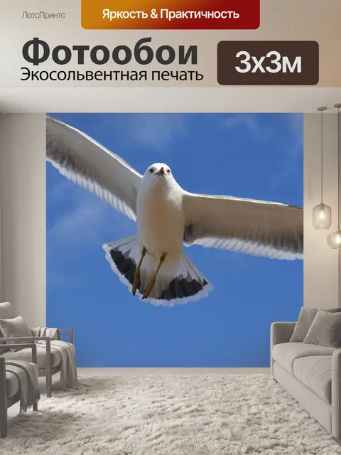 Фотообои Животное
