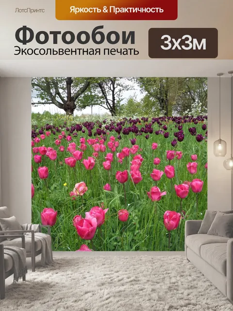 Фотообои Тюльпаны