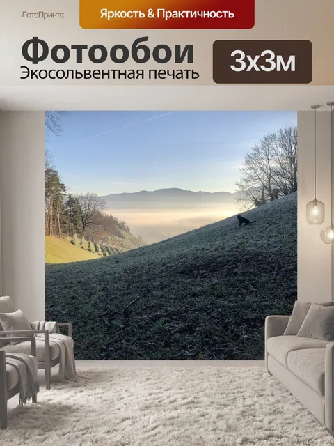Фотообои Туман