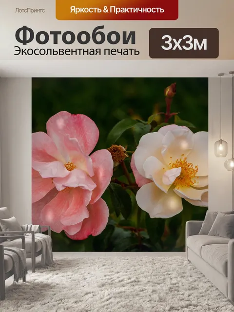 Фотообои Розы