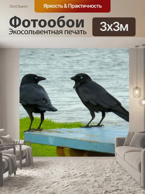 Фотообои Вороны