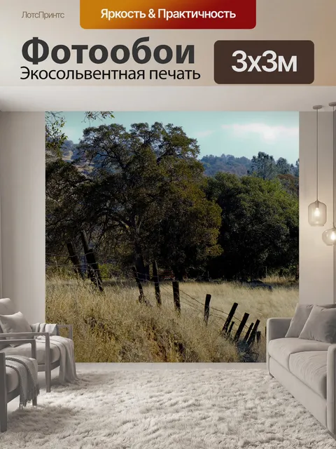 Фотообои Дорога по заброшенному заграждению