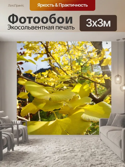 Фотообои Гинкго