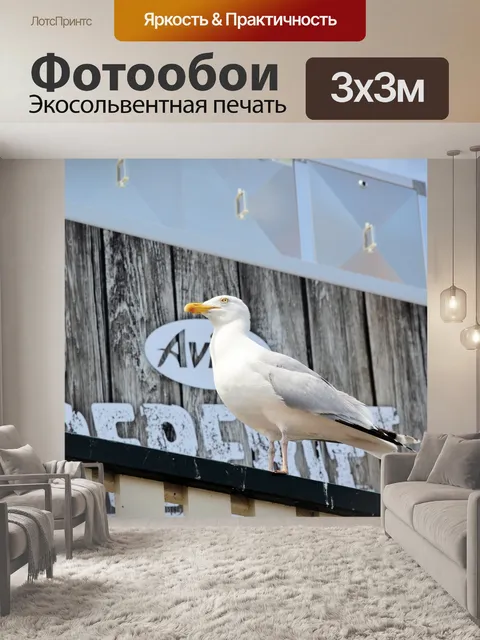 Фотообои Чайка