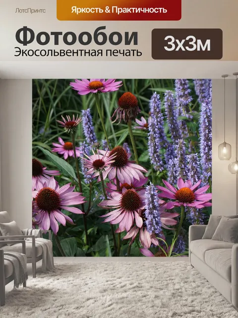 Фотообои Шишки
