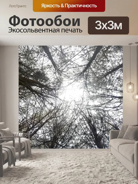 Фотообои Лес