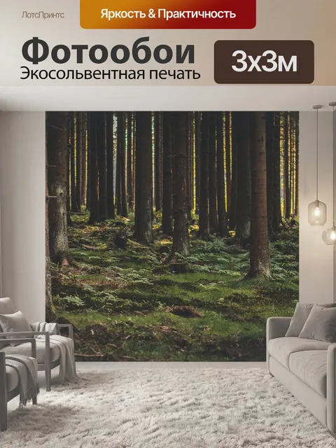 Фотообои Лес