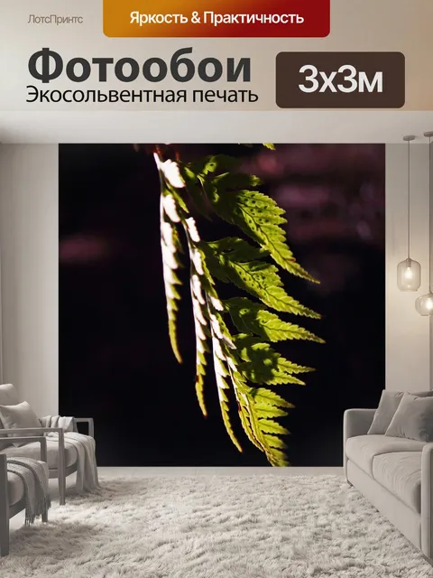Фотообои лист папоротника на темном фоне