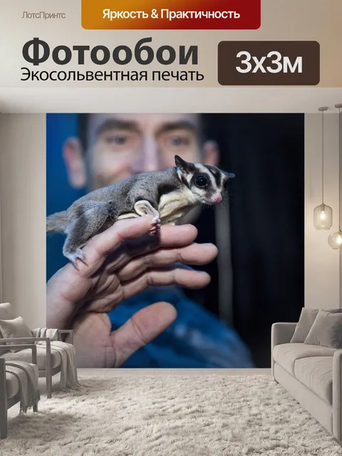 Фотообои Попугай