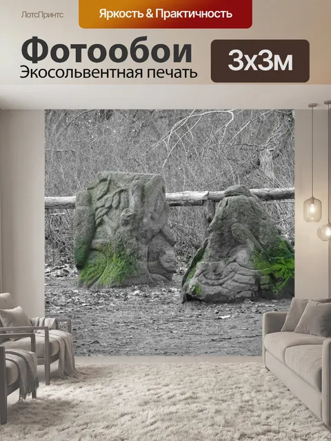 Фотообои Лес