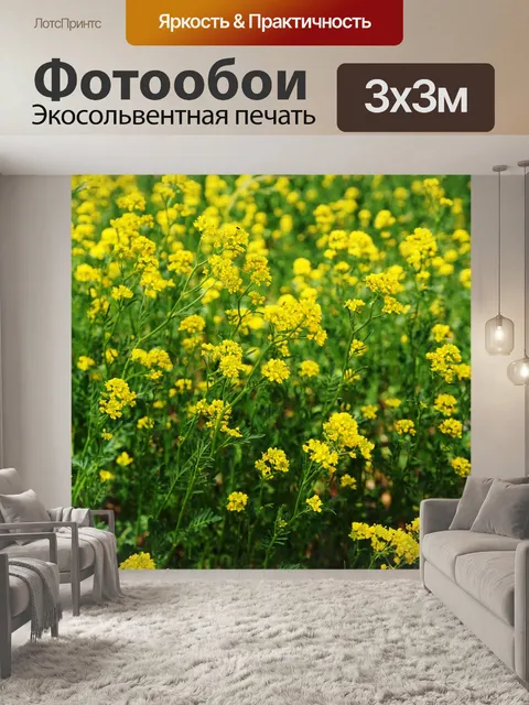 Фотообои Цветы