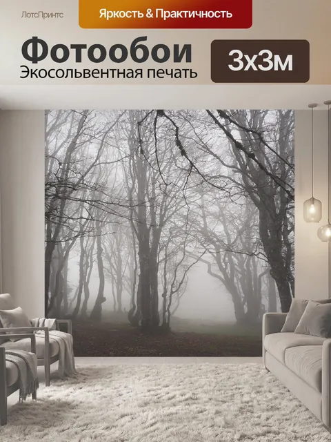 Фотообои Бук