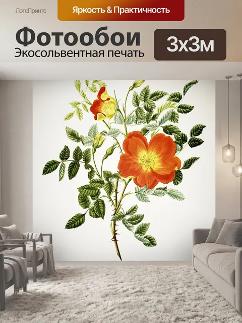 Фотообои Цветы