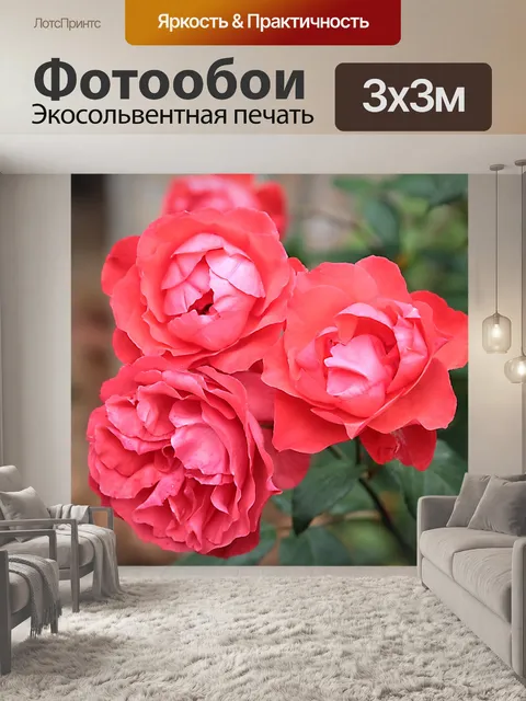 Фотообои Сад