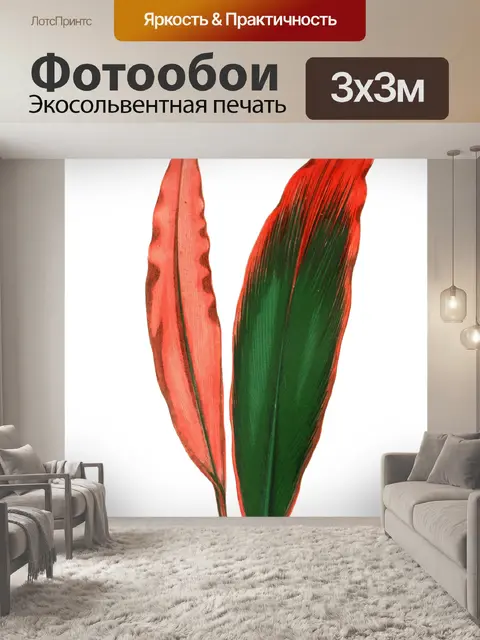 Фотообои Листва лист растение прозрачный