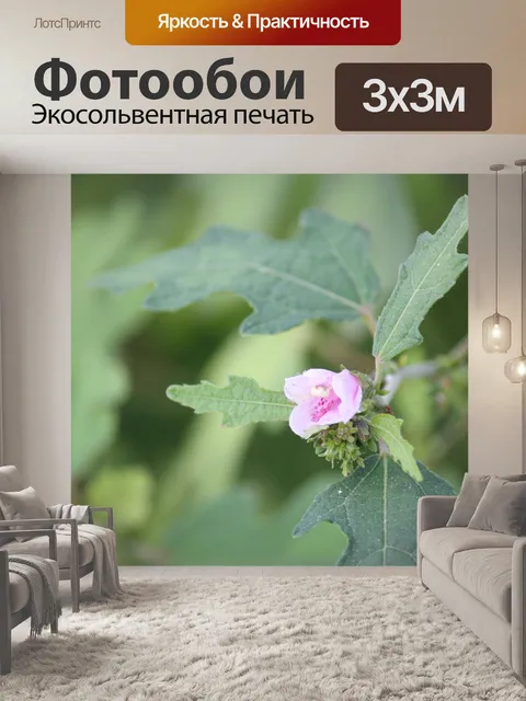 Фотообои розовый цветок
