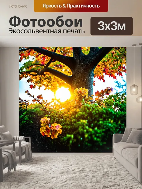 Фотообои восход солнца освещает величественное дерево с пёстрыми листьями, сверкающими росой