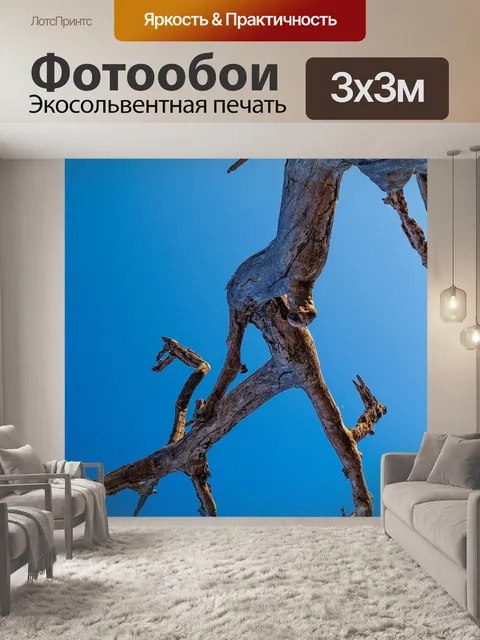 Фотообои Мертвое дерево, силуэт дерева