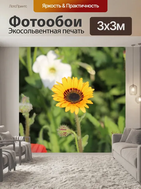 Фотообои Цветы