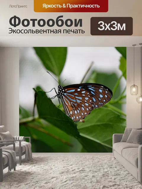 Фотообои Бабочка