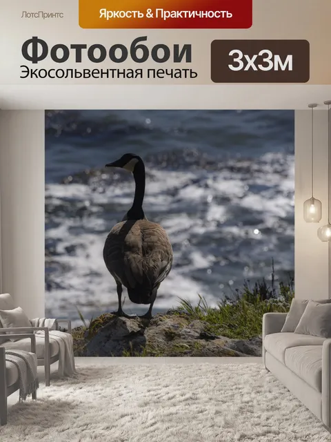 Фотообои Канада гусь с видом на море