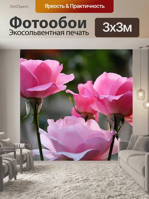 Фотообои Папийон розы