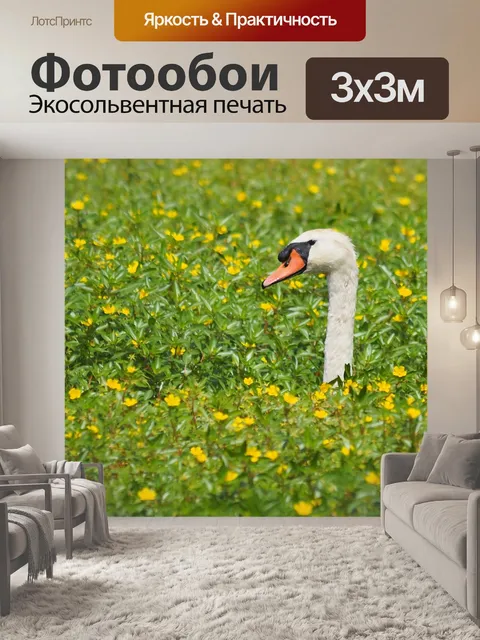 Фотообои Природа