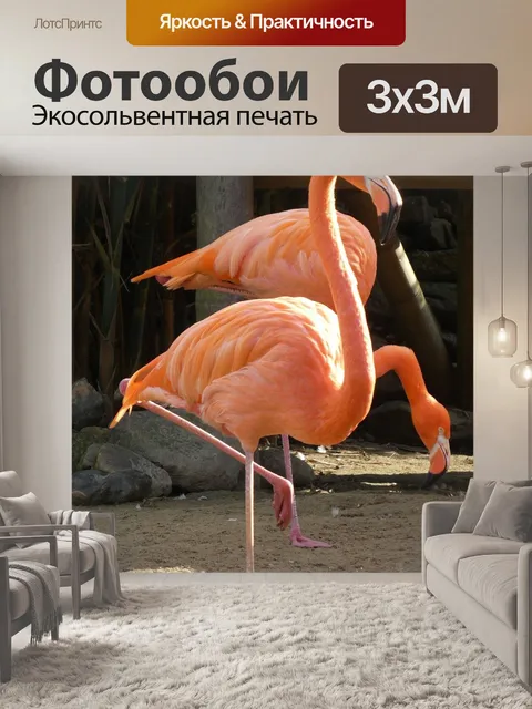 Фотообои Фламинго