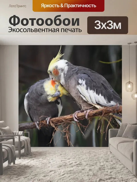 Фотообои Птицы