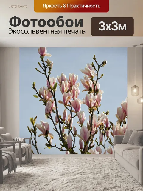 Фотообои Цветы Магнолия дерево