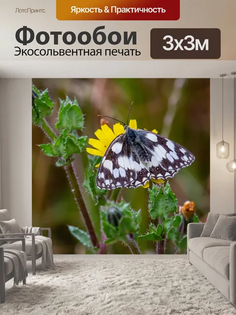 Фотообои Мрамор белый