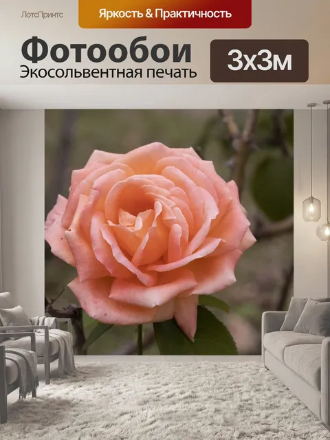 Фотообои Осень