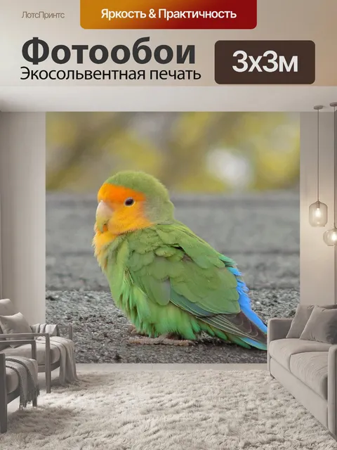 Фотообои Роза мозгами