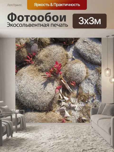 Фотообои Пляж