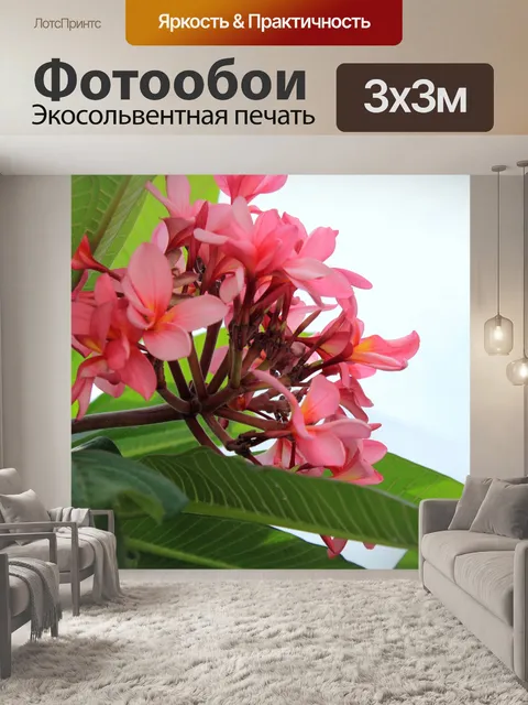 Фотообои Розовый Калачучи Цветок