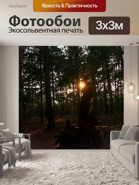 Фотообои Вечер