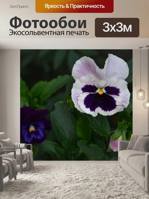 Фотообои Цветы