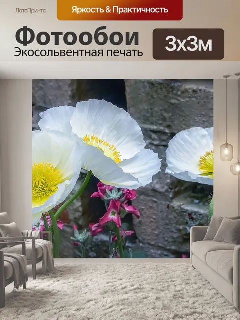Фотообои Маки