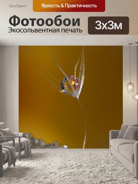Фотообои Одуванчик