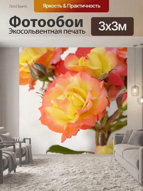Фотообои Розы