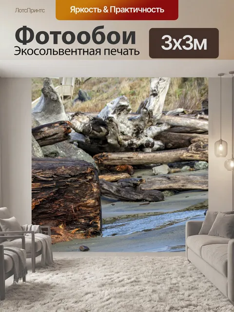 Фотообои коряги из лесных деревьев
