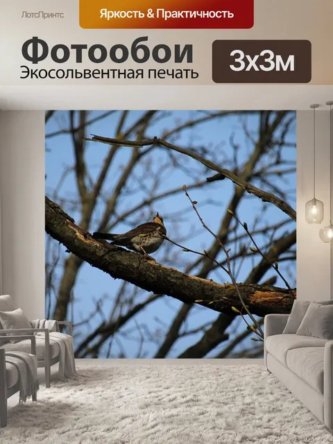 Фотообои Птица